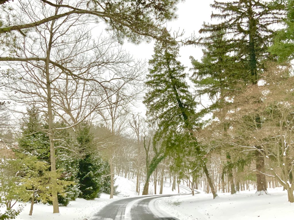 The Private Driveway in Winter